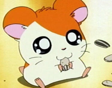 Hamtaro